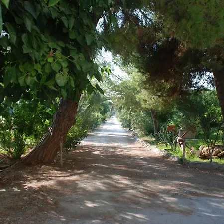 Punta Milocca Sleeps 2 Wifi T764356
